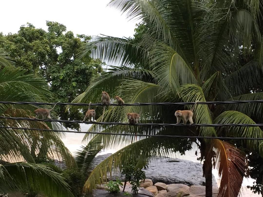 Simukut Place Kampong Pasir Sanang Burong Екстериор снимка