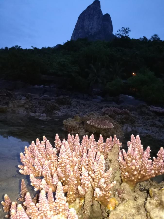 Simukut Place Kampong Pasir Sanang Burong Екстериор снимка